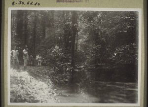 "A short rest in the jungle on the way to Kolam. (Rev. Reiter.)