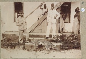 1 European and 5 African adolescents with a slain leopard at the stairs to an entrance, ca.1901-1914