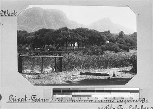 Private farm in Constantia, near Cape Town, South Africa