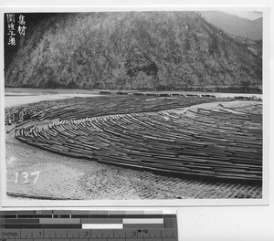 Logs positioned to make rafts at Fushun, China, 1937