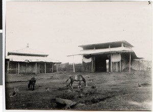 Gate to the Gibbi of the sultan of Jireen, Ethiopia, 1938-06-02