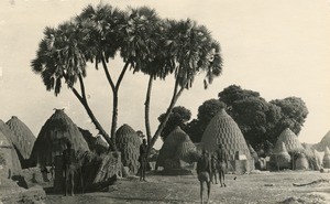 Village, in Cameroon