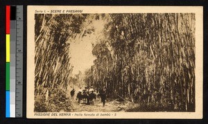 Missionaries riding through bamboo, Kenya, ca.1920-1940