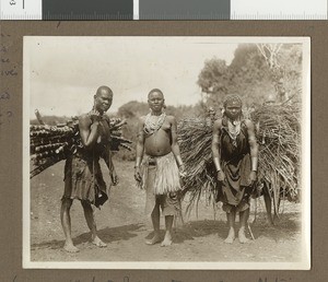 Women carrying sugar cane, Chogoria, Kenya, 1922