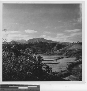 A view of the land at Wuzhou, China, 1950