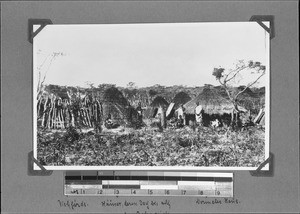 New village in Rukwa region, Buchimbu, Tanzania