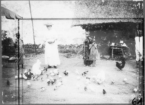 Mrs. Michel feeding her chicks, Tanzania, ca.1911-1914