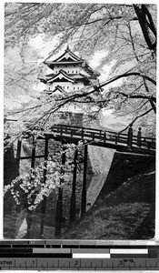 Building and bridge seen through a cherry blossom tree, Hirosaki, Japan, ca. 1920-1940