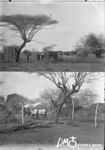 Cart, Makulane, Mozambique, ca. 1896-1911