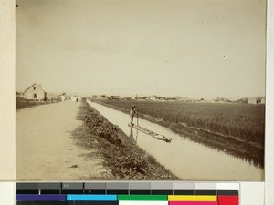 A road, a little river canal and rice fields in Antananarivo, Madagascar, ca.1900