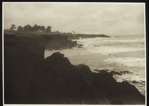 Cannanore: Beautiful north beach looking south