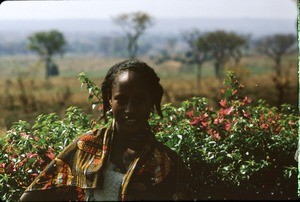 Mbororo woman, Meiganga, Adamaoua, Cameroon, 1953-1968