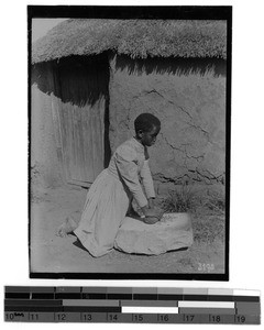 Maize processing, South Africa East