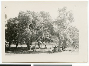 African men and a missionary discussing outdoors, South Africa