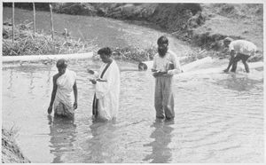 NELC, Assam, Nordindien. Dåbshandling i floden ved Angarkata Kanerey, Langfredag, 31.3.1961