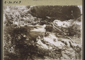 River in the forest near Pangelak