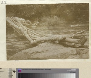 Native bridge over the Nyame River, Mkasu, Tanzania, ca.1888-1929