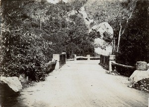 Road between Toamasina and Antananarivo, gorges of the Mandraka, in Madagascar