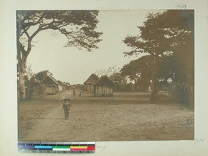 Ambodisiny valley, Madagascar, 1901