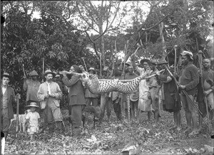 Hunters with a killed leopard, Lemana, Limpopo, South Africa, ca. 1906-1907