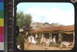 A city street, south India, 1924