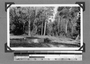 A grave, Clarkson, South Africa, 1934