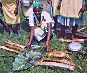 Nordveststifteet, Tanzania, 1984. Her vises forberedelser til en picnic på Ntoma Husholdningsskole. Der bliver kogt forskellige retter mad, som bliver pakket i bananpalmeblade. Man lader bananbladene gå gennem ilden, så de er renset før anvendelse. Det grønne blad er her anbragt oven på stykker af den flækkede stamme