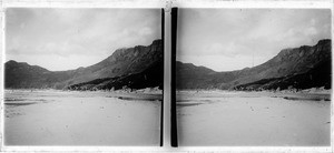 A flock of seagulls, Hout Bay