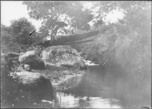 Umbo River, Tanzania, ca. 1901-1910