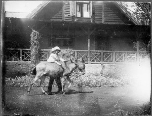 The son of missionary Winkler riding on a donkey, Masama, Tanzania, 1927