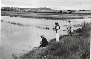 Angling in a river, in Madagascar