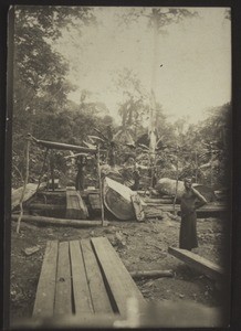 "A sawpit in Cameroon." l