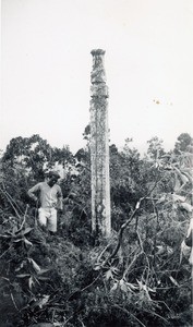 Carved wooden stick, in Madagascar