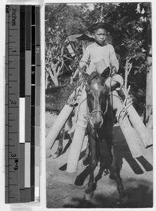 Water carrier, Manila, Philippines, ca. 1920-1940