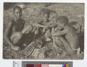 Boys roasting mice, Malawi, ca.1910