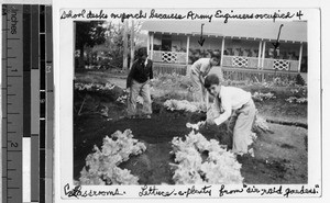 Maryknoll School students working in air raid garden, Punahou, Honolulu, Hawaii, ca. 1942