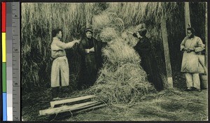 Missionary sisters with grass bundles, China, ca.1920-1940