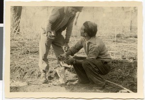 Cooking a meal at a smouldering waddessa tree, Ethiopia, 1952