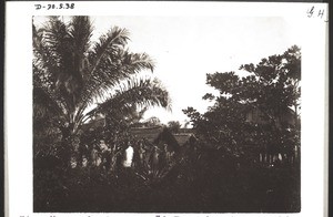 "An african farm at the southern foot of Aponge mountain"