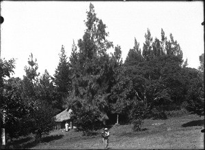 Servants' hut, Lemana, Limpopo, South Africa, ca. 1906-1907