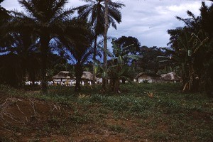 The chiefery, Bankim, Adamaoua, Cameroon, 1953-1968