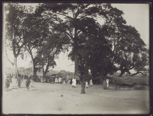 Market in Bassari