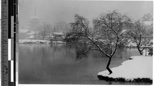 Snow covered Nara park, Japan, ca. 1920-1940