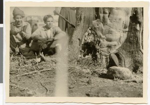 Cooking a meal at a smouldering waddessa tree, Ethiopia, 1952