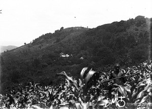 View of Lemana Training Institution, Lemana, South Africa, ca. 1906-1915