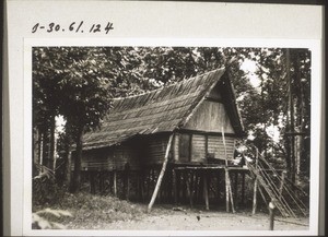 Typical Dayak house near Sukamara with its walls leaning outwards