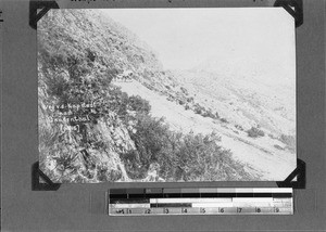 Horse carriage on Sir Lowry's Pass, between Cape Town and Genadendal, South Africa