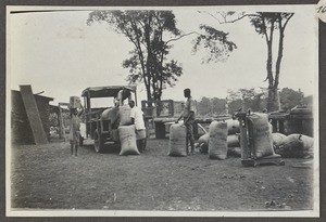 Men and boy loading sacks on truck, Tanzania