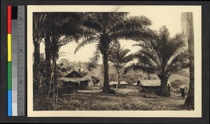 Thatch-roofed village housing beneath palm trees, Congo, ca.1920-1940