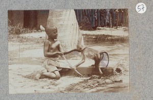 African boy with rhesus monkey, ca.1900-1902